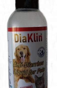 DiaKlin  Dogs